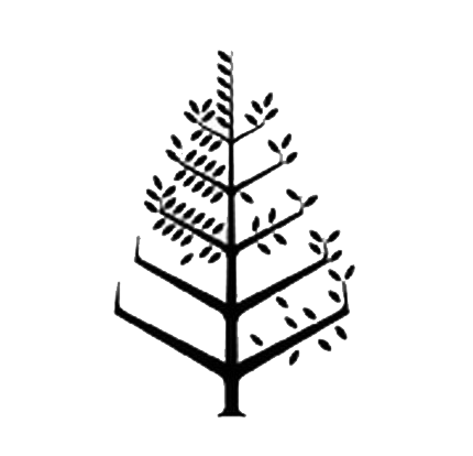 Four Seasons New Orleans Logo